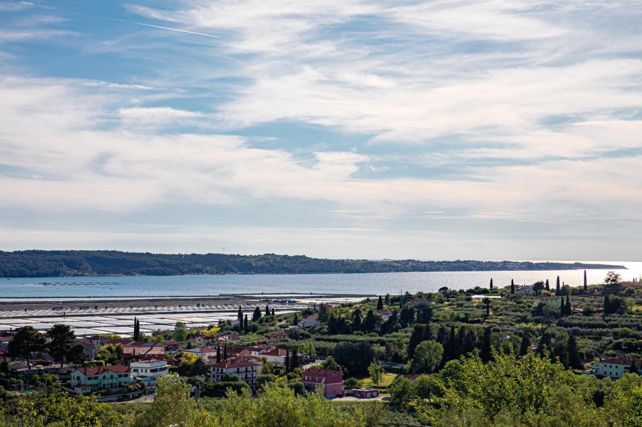 Larabella Salt Fields View Studio Portoroz Exterior foto